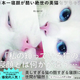 Illustration for article titled The Cat with the Ugliest Sleeping Face in Japan